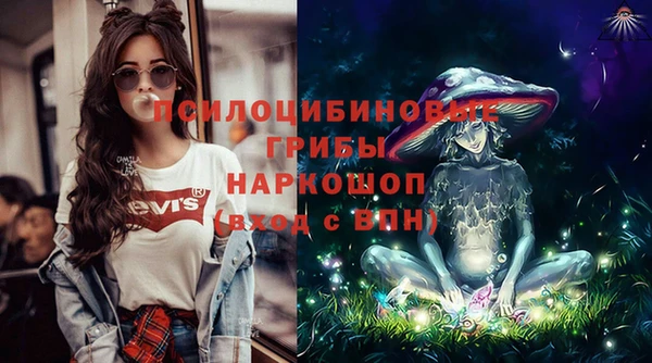 гашик Армянск