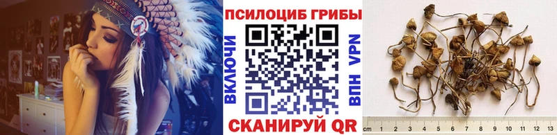 Псилоцибиновые грибы MAGIC MUSHROOMS  купить наркоту  Сегежа 